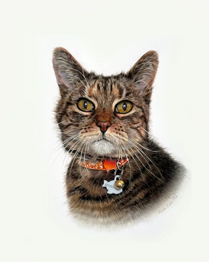 Colored pencil portrait of Angel, a tabby cat with a bell and a small charm on an orange collar