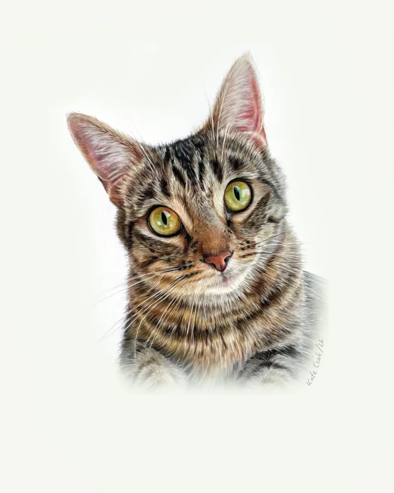 Colored pencil portrait of Cookie, a striped tabby cat with green eyes, head slightly tilted