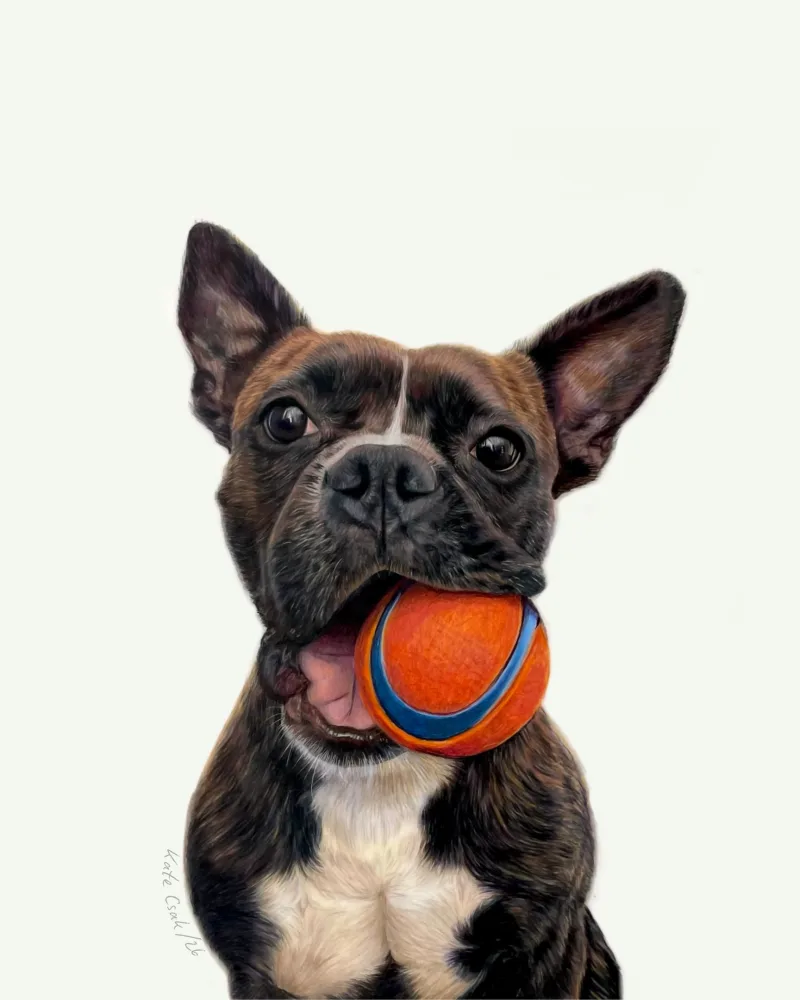 Colored pencil portrait of Dora, a brindle dog with upright ears holding an orange ball in its mouth