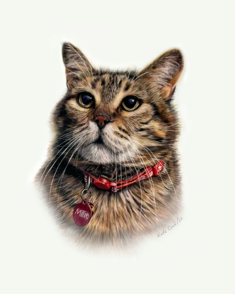 Colored pencil portrait of Millie, a tabby cat with wide green-gold eyes and a red collar